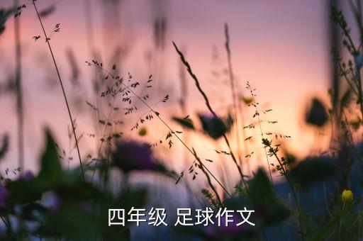 四年級(jí) 足球作文