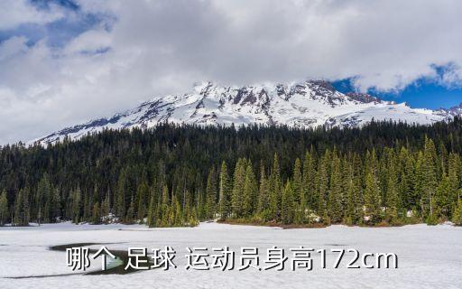 哪個(gè) 足球 運(yùn)動(dòng)員身高172cm