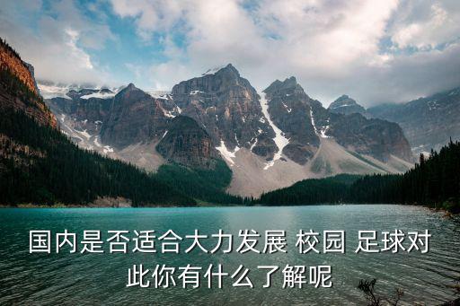 國內(nèi)是否適合大力發(fā)展 校園 足球?qū)Υ四阌惺裁戳私饽? class=