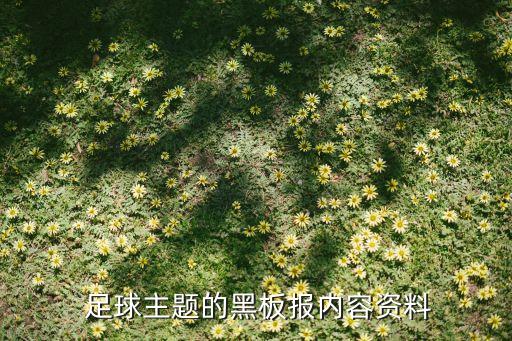  足球主題的黑板報(bào)內(nèi)容資料