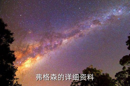弗格森的詳細(xì)資料