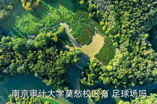  南京審計(jì)大學(xué)莫愁校區(qū)有 足球場(chǎng)嗎