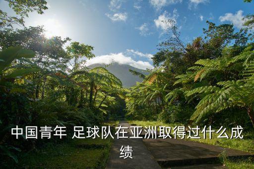 中國(guó)青年 足球隊(duì)在亞洲取得過什么成績(jī)