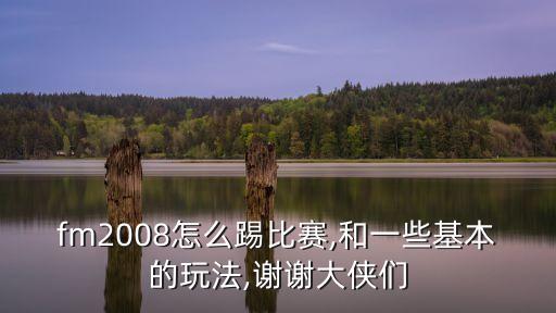 fm2008怎么踢比賽,和一些基本的玩法,謝謝大俠們