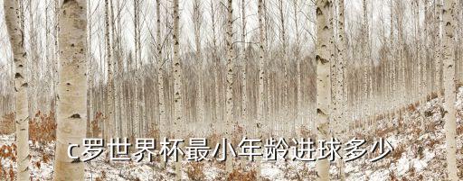 2017葡萄牙足球預選賽