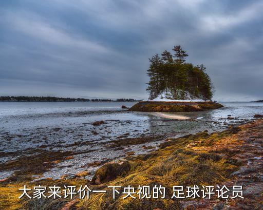 大家來(lái)評(píng)價(jià)一下央視的 足球評(píng)論員