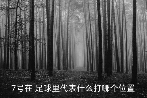 7號(hào)在 足球里代表什么打哪個(gè)位置