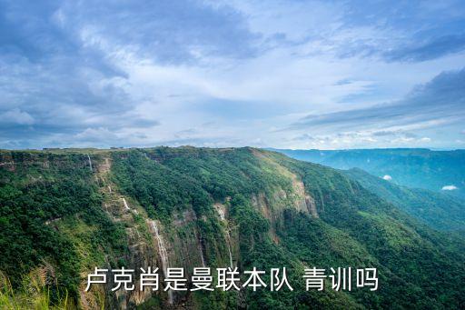 盧克肖是曼聯(lián)本隊 青訓(xùn)嗎