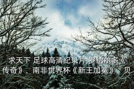 求天下 足球高清紀錄片,羅納爾多《傳奇》、南非世界杯《新王加冕》、貝...
