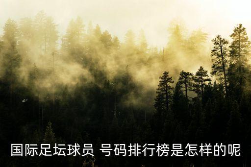 國際足壇球員 號(hào)碼排行榜是怎樣的呢