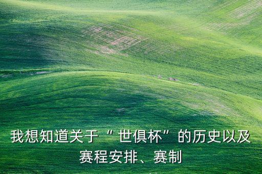 我想知道關(guān)于“ 世俱杯”的歷史以及賽程安排、賽制