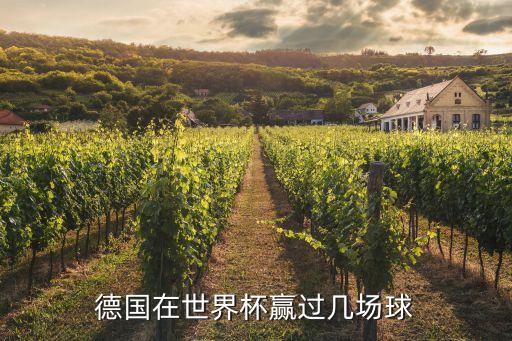 德國(guó)在世界杯贏過幾場(chǎng)球