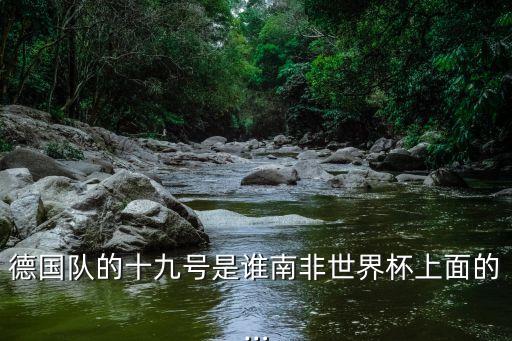德國隊(duì)的十九號(hào)是誰南非世界杯上面的…