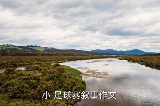 足球運動員皮鞋西服,為什么足球運動員穿西服