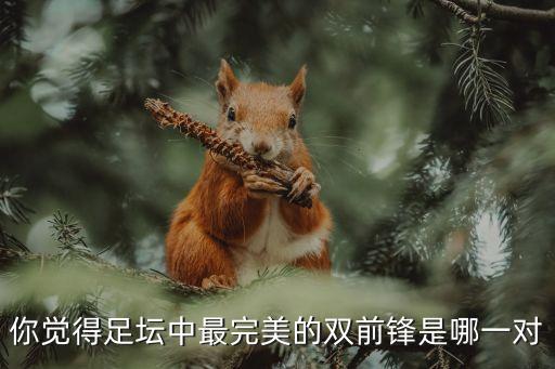 你覺得足壇中最完美的雙前鋒是哪一對