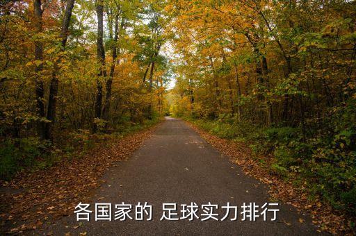 各國家的 足球?qū)嵙ε判? class=