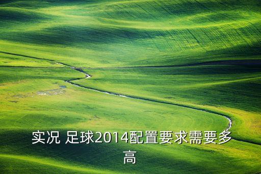  實(shí)況 足球2014配置要求需要多高