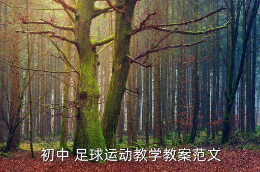  初中 足球運(yùn)動教學(xué)教案范文