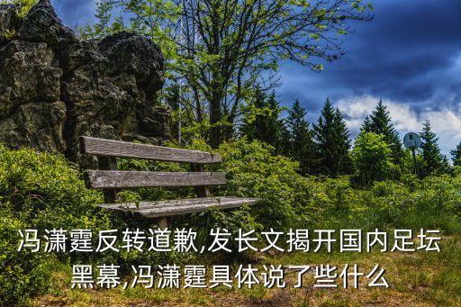 馮瀟霆反轉(zhuǎn)道歉,發(fā)長(zhǎng)文揭開國(guó)內(nèi)足壇黑幕,馮瀟霆具體說了些什么