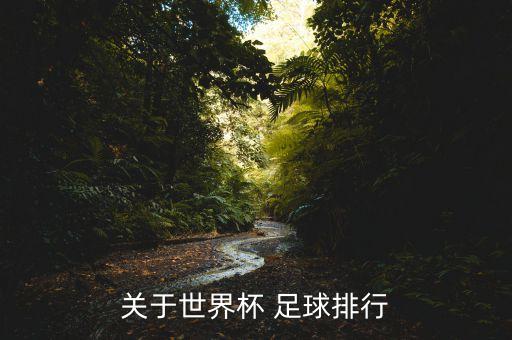 德國與智利足球買誰贏,德國跟智利足球哪個強