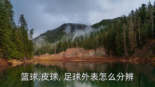 黑白色足球衣圖片,足球衣logo設(shè)計圖片