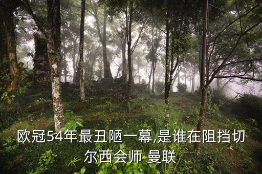 曼聯足球圖片,主角在曼聯的足球小說