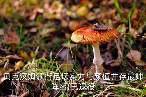 貝克漢姆領(lǐng)銜足壇實力與顏值并存最帥陣容(已退役