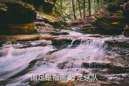 國足是指哪支 足球隊(duì)