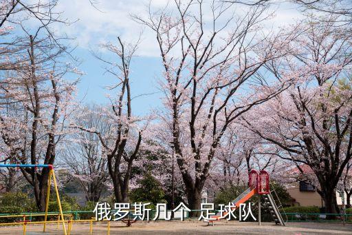 俄羅斯幾個 足球隊