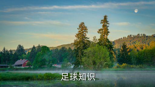  足球知識