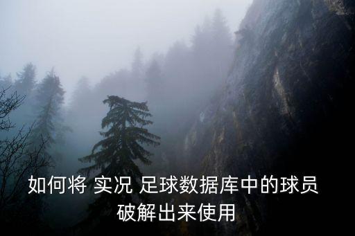 如何將 實況 足球數(shù)據(jù)庫中的球員 破解出來使用