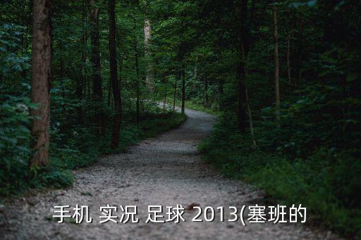 手機 實況 足球 2013(塞班的