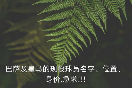 巴薩及皇馬的現(xiàn)役球員名字、位置、 身價,急求!!!