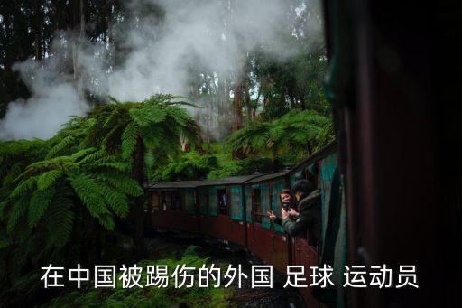 在中國被踢傷的外國 足球 運(yùn)動(dòng)員