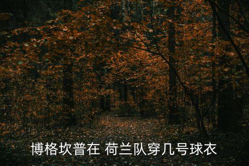 荷蘭 足球 恐飛,荷蘭和美國(guó)足球哪個(gè)厲害