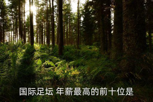國(guó)際足壇 年薪最高的前十位是