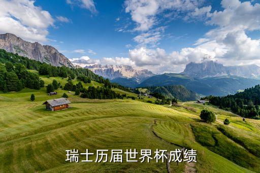 瑞士歷屆世界杯成績