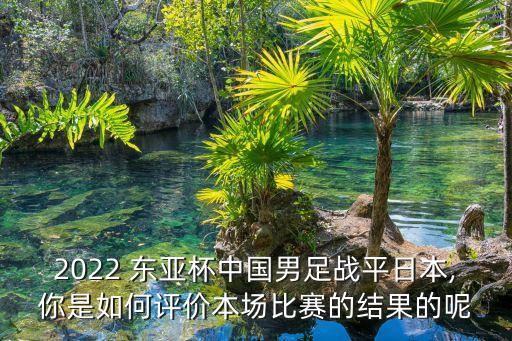 東亞杯足球比分,即時完整足球比分英總杯