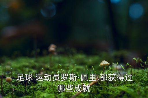  足球 運(yùn)動(dòng)員羅斯·佩里,都獲得過哪些成就