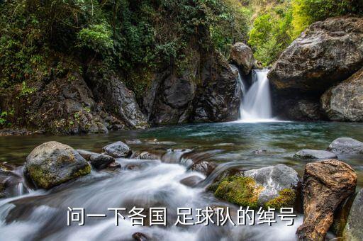 問(wèn)一下各國(guó) 足球隊(duì)的綽號(hào)