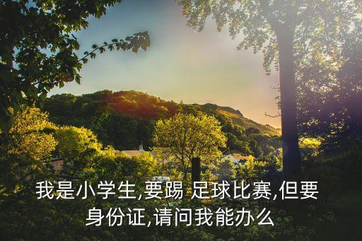 我是小學(xué)生,要踢 足球比賽,但要 身份證,請(qǐng)問(wèn)我能辦么