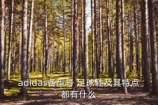 adidas各型號(hào) 足球鞋及其特點(diǎn)都有什么