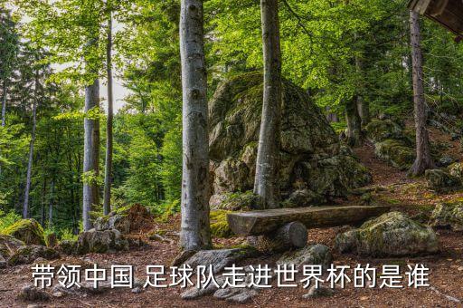 帶領(lǐng)中國(guó) 足球隊(duì)走進(jìn)世界杯的是誰