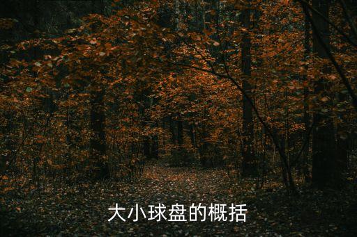 足球全場(chǎng)標(biāo)準(zhǔn)盤 12x,足球標(biāo)準(zhǔn)是幾號(hào)