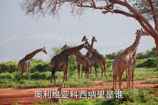 奧利維亞科西納里是誰(shuí)