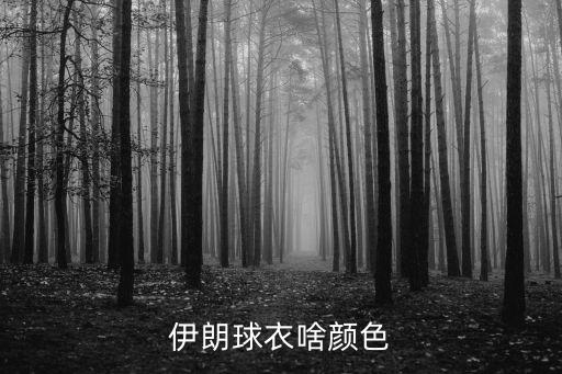俄羅斯世界杯足球隊(duì)服,2022世界杯足球隊(duì)服