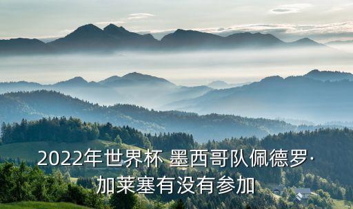 2022年世界杯 墨西哥隊佩德羅·加萊塞有沒有參加