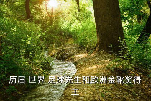 歷屆 世界 足球先生和歐洲金靴獎(jiǎng)得主