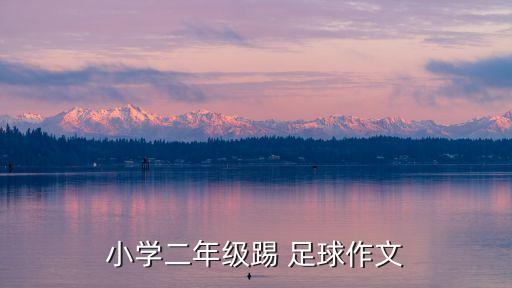 小學二年級踢 足球作文