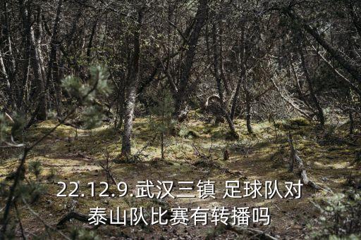 22.12.9.武漢三鎮(zhèn) 足球隊(duì)對(duì)泰山隊(duì)比賽有轉(zhuǎn)播嗎